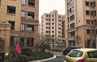 吃瓜楼房,邻里间的欢乐与争议