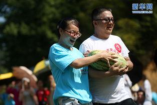 徽州区吃瓜,吃瓜也能吃出徽州风情