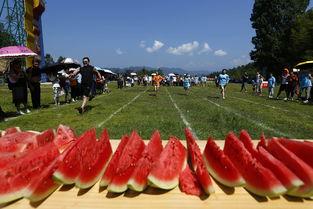 徽州区吃瓜,吃瓜也能吃出徽州风情