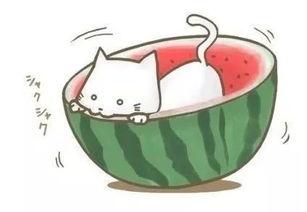 吃瓜球瓜,球瓜的甜蜜诱惑