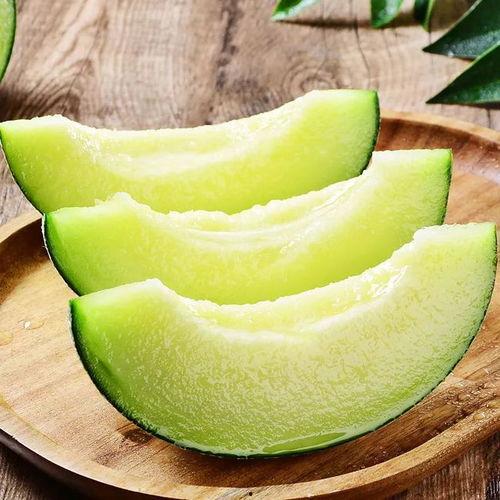 海马吃蜜瓜,一场奇幻的海洋美食之旅