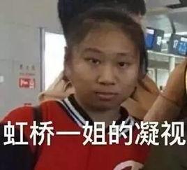 宠物吃瓜看戏视频,欢乐无限萌态再现