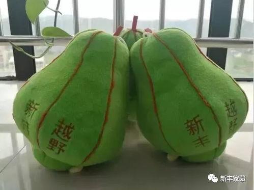 圆形翠绿瓜怎么吃,翠绿圆形瓜的美味食法揭秘