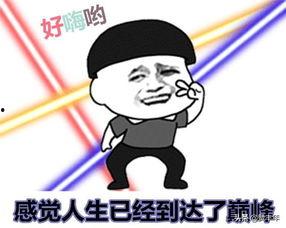 带你吃瓜下雪天,一场别开生面的冬日盛宴