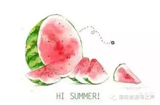 带你吃瓜下雪天,一场别开生面的冬日盛宴