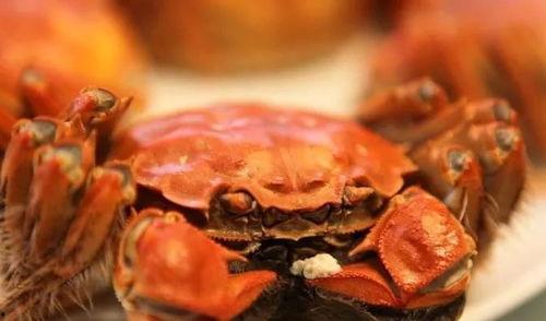 大闸蟹可以吃籽瓜吗,美味搭配的饮食探索