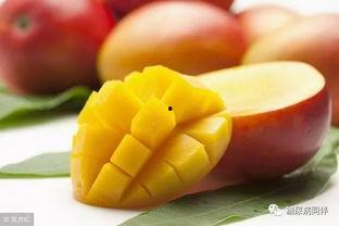 糖尿病人可以吃甜梨瓜吗,甜梨瓜的食用指南