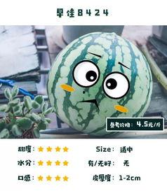 长沙猜拳吃瓜,猜拳吃瓜,趣味横生的夏日风情