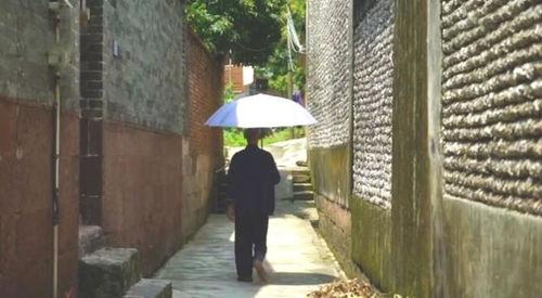 曹县张店吃瓜事件,一场网络热议背后的真相探寻