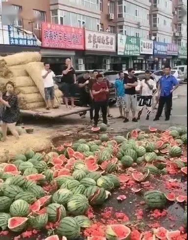 曹县张店吃瓜事件,一场网络热议背后的真相探寻