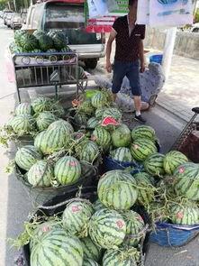 凉山现代吃瓜事件,揭秘网络舆论的狂欢与反思