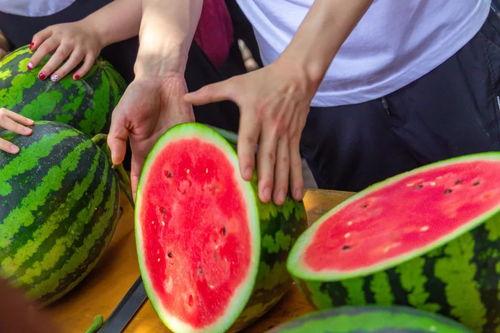 大学吃瓜看热闹,吃瓜看热闹的欢乐时光