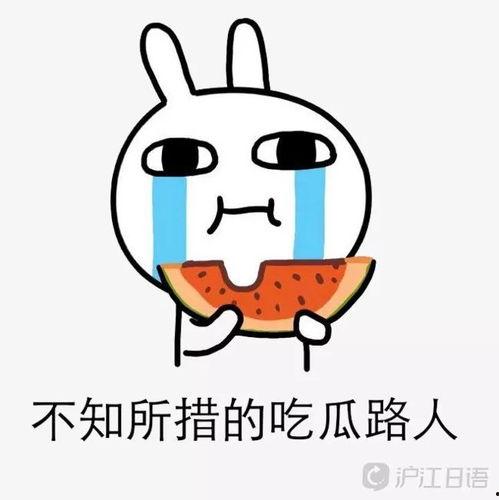 吃瓜呱呱饱,揭秘娱乐圈的甜蜜与苦涩