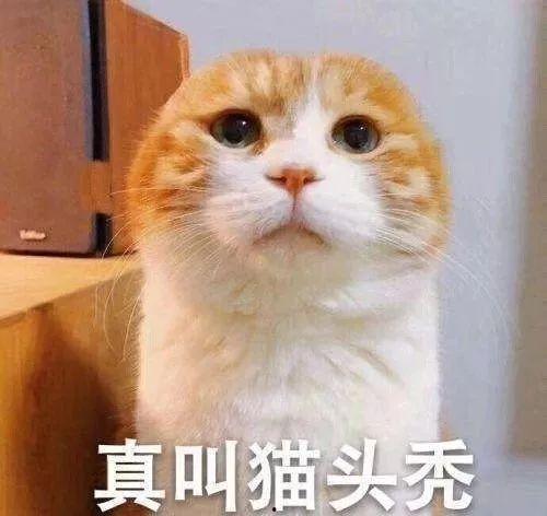 坐等吃大瓜好吗,揭秘娱乐圈幕后故事