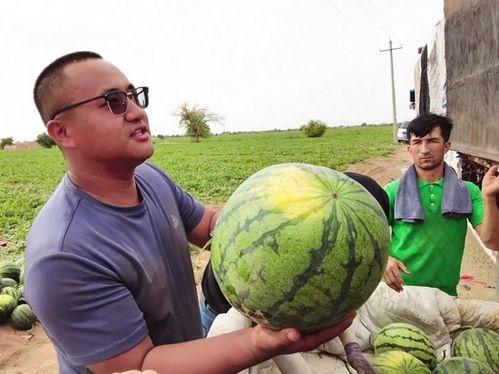 cuber 吃瓜,瓜界新秀，揭秘吃瓜界的风云变幻